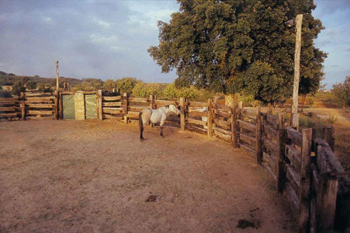 Casa Rural Finca Valvellidos Jaraiz de la Vera Zewnętrze zdjęcie